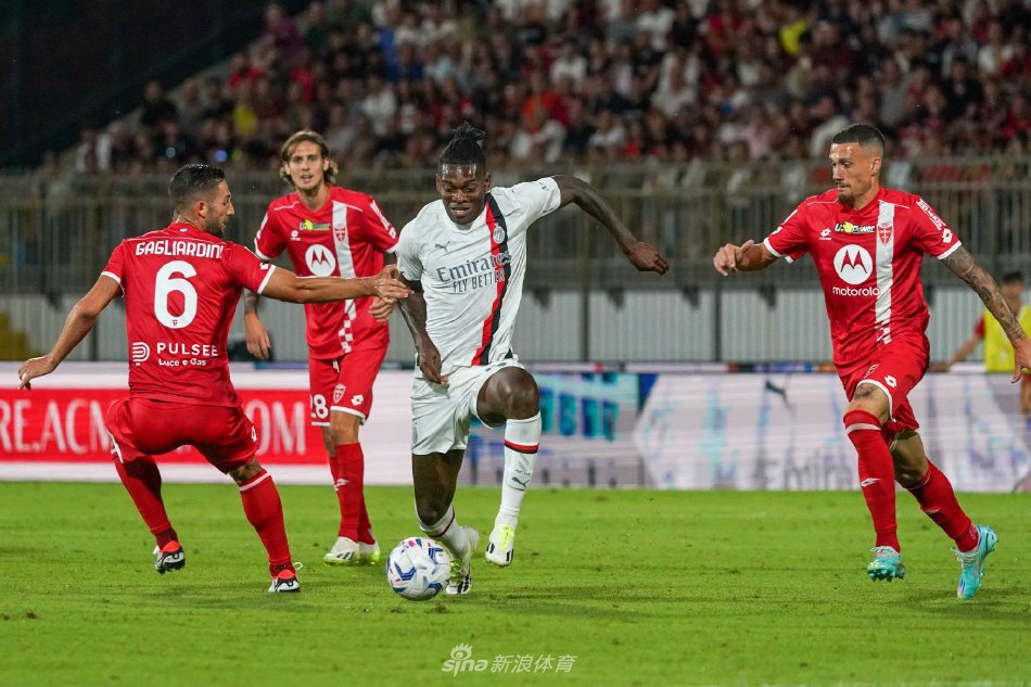 的整体表现 的整体表现